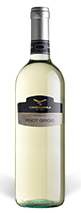 CAMPAGNOLA PINOT GRIGIO Kraków Rynek